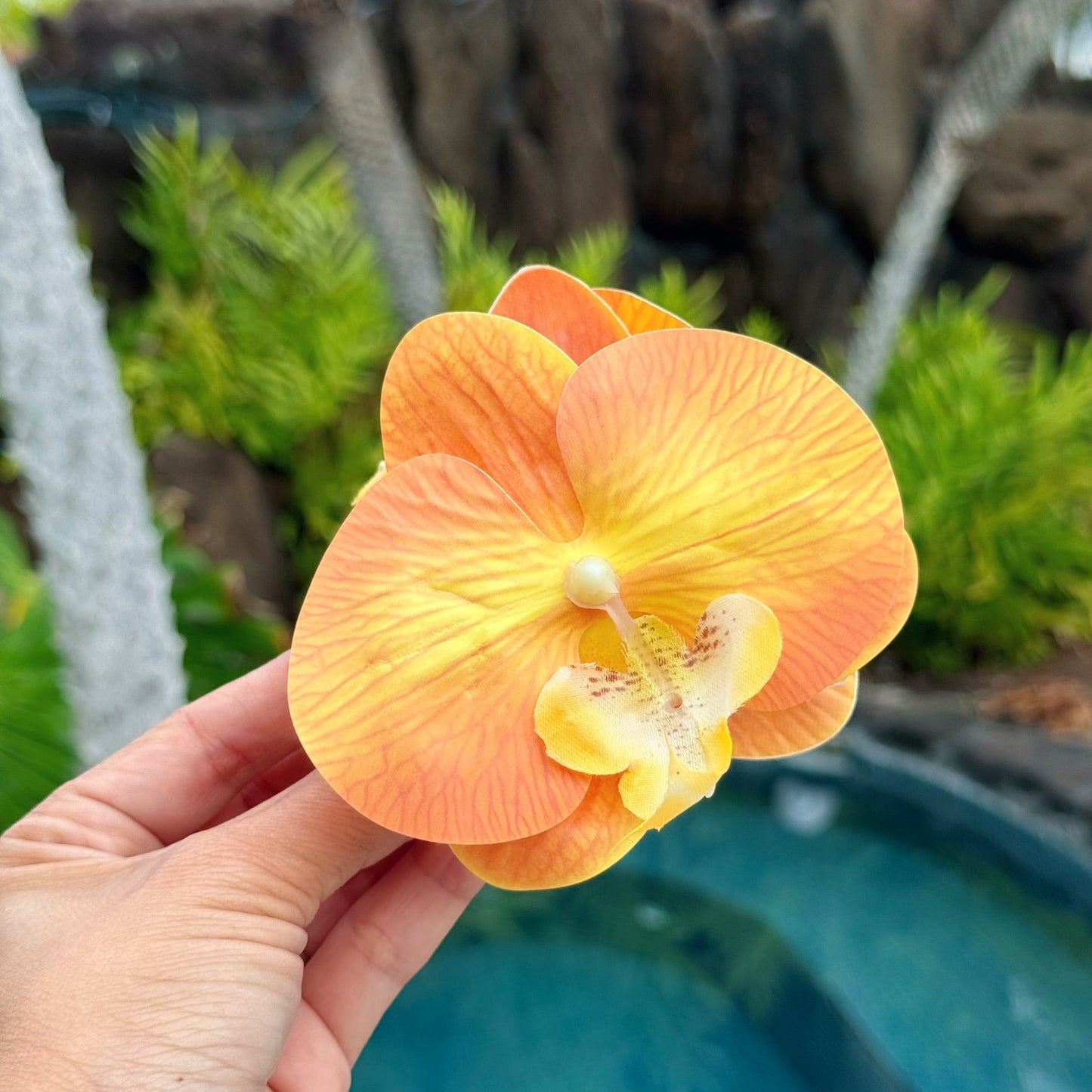 Orchid - yellow/orange