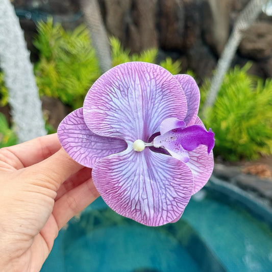Orchid - violet