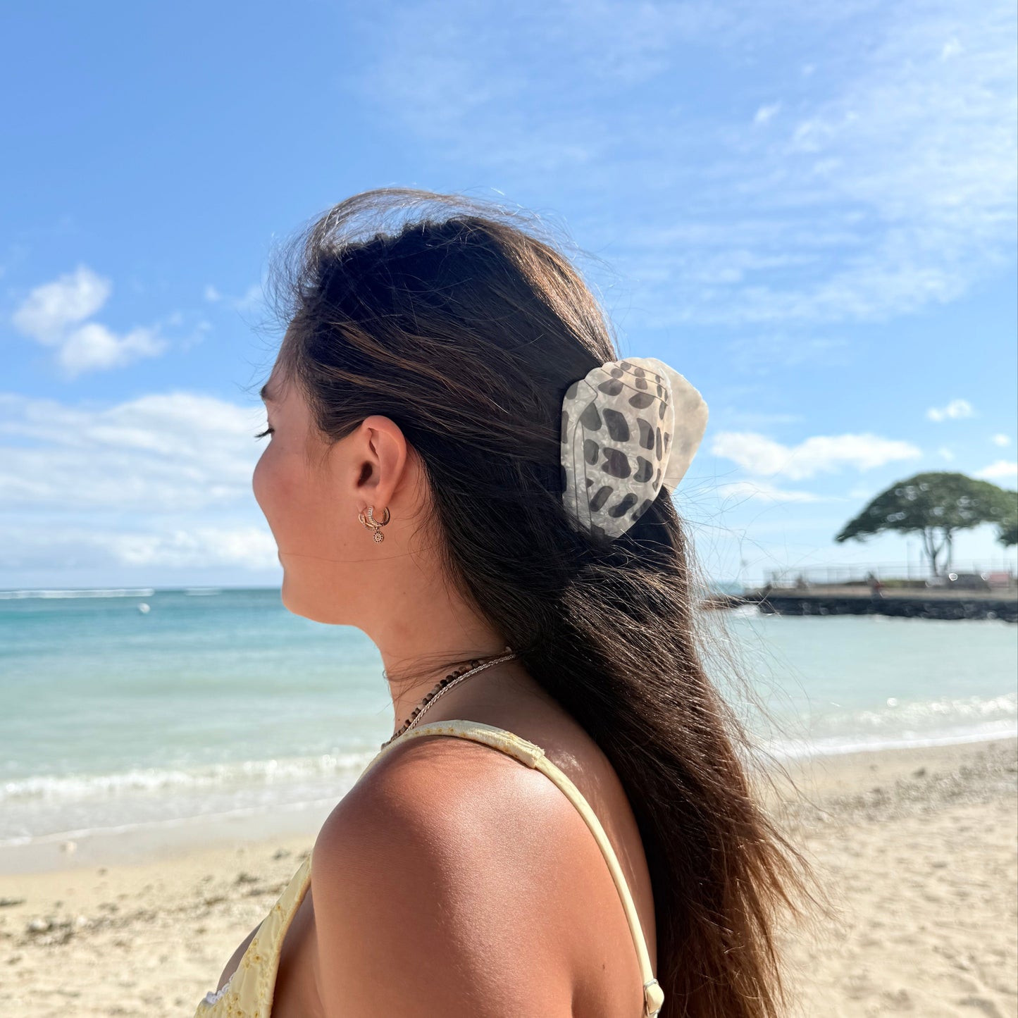 Hebrew Shell 2 sizes