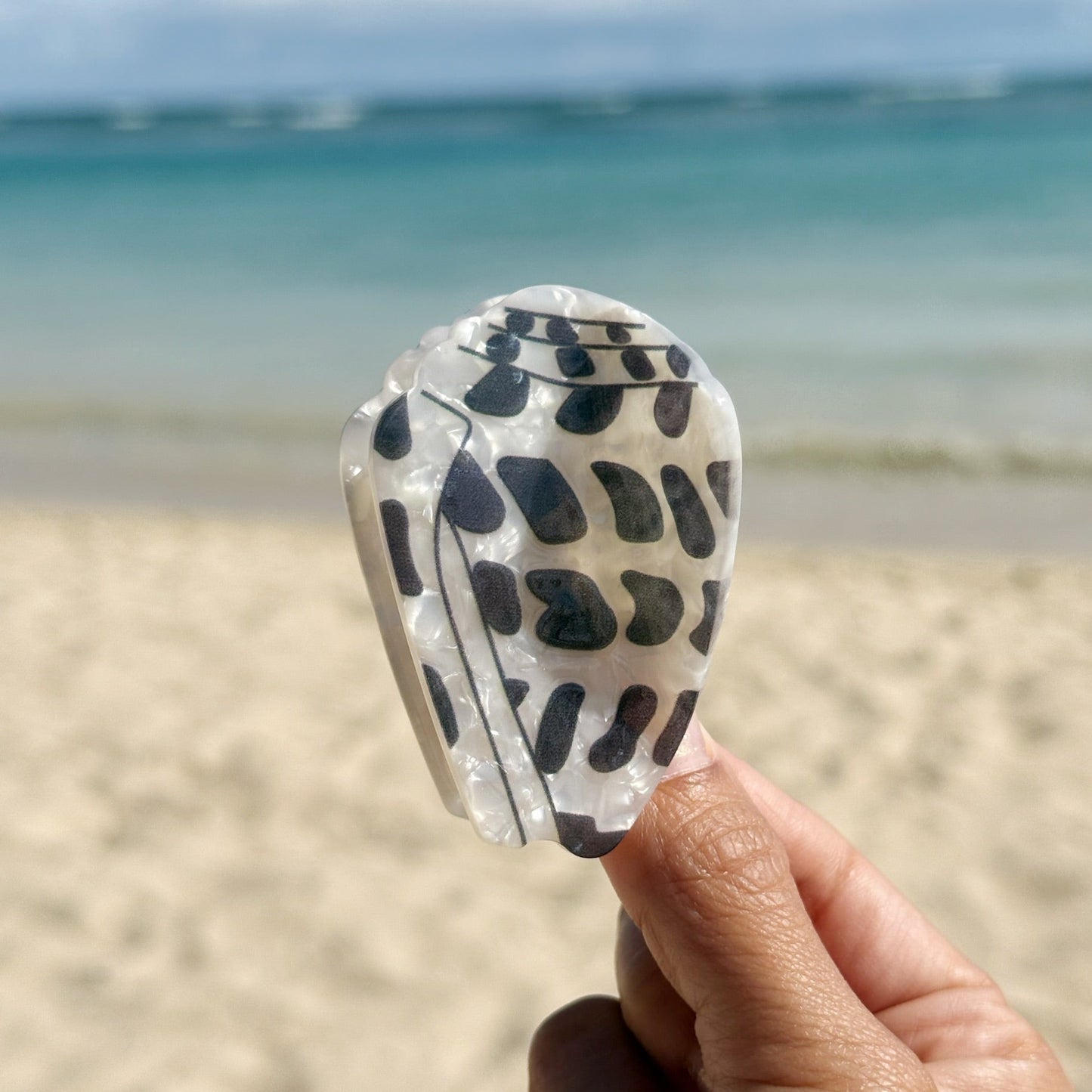 Hebrew Shell 2 sizes