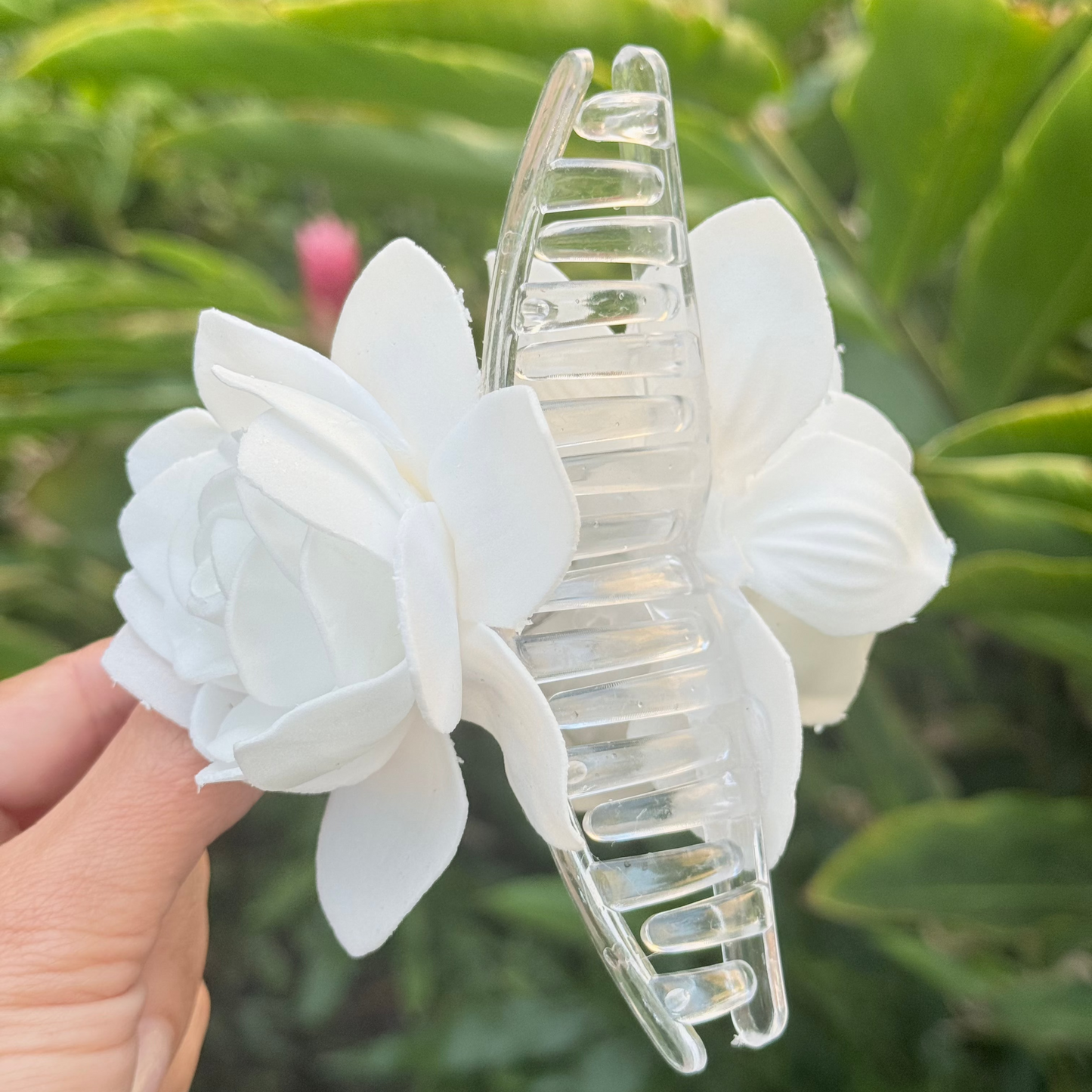 Gardenia