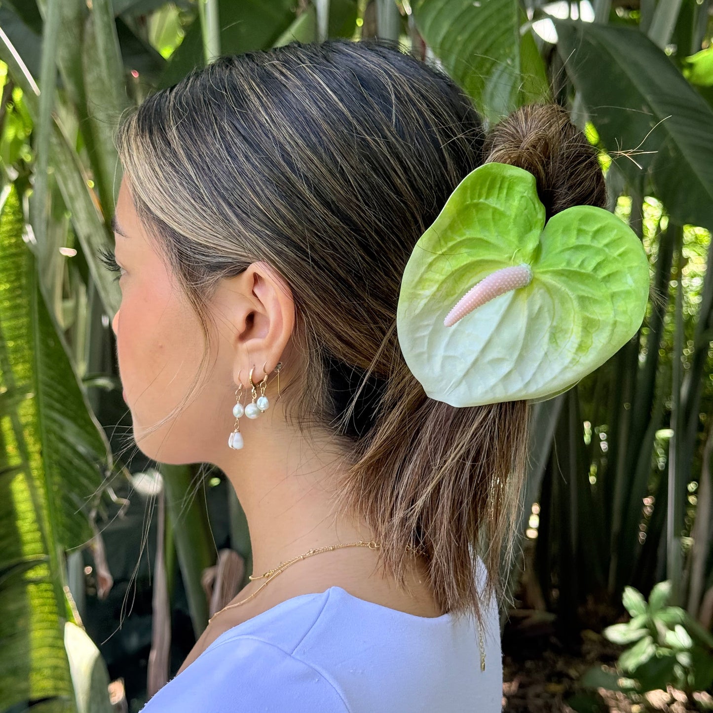 Anthurium large - white/light green