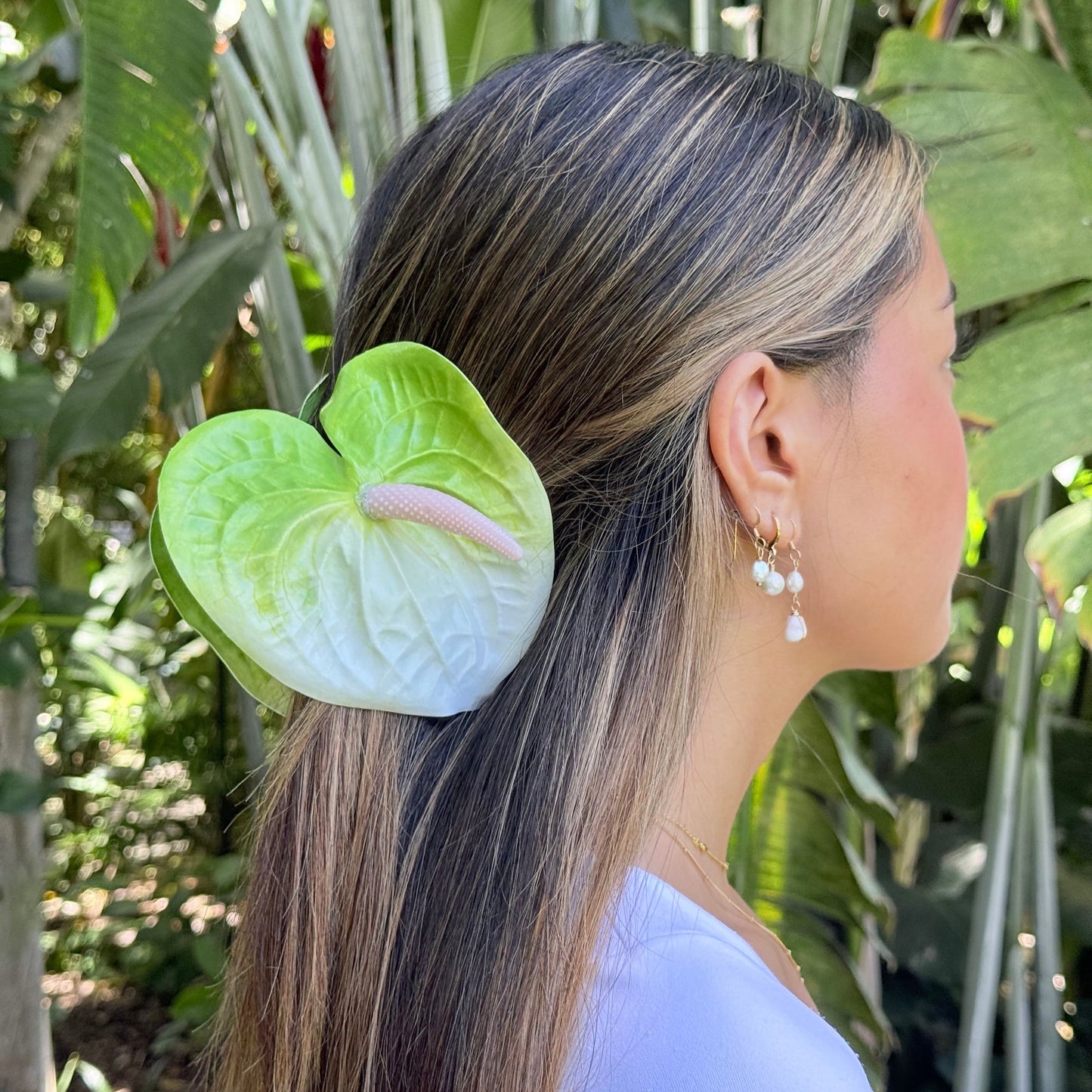 Anthurium large - white/light green