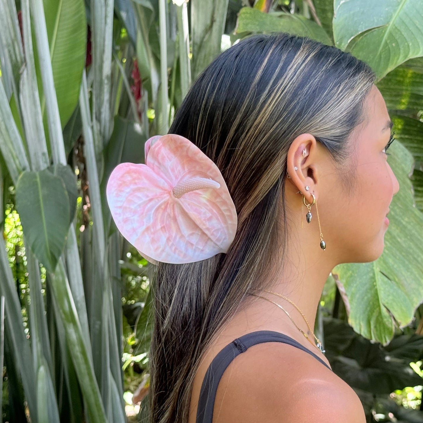 Anthurium large - blush