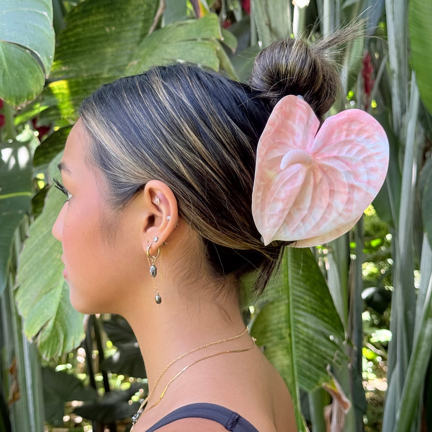 Anthurium large - blush