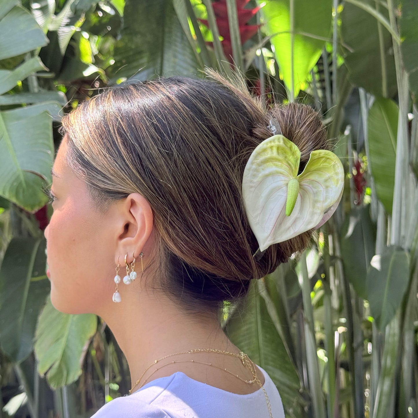 Anthurium medium - white