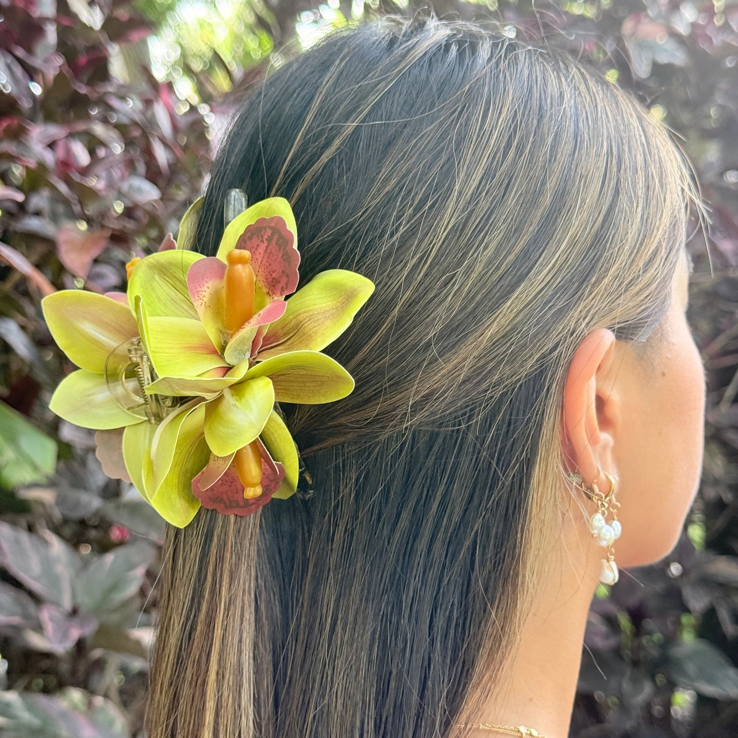 Cattleya Orchid - green/yellow