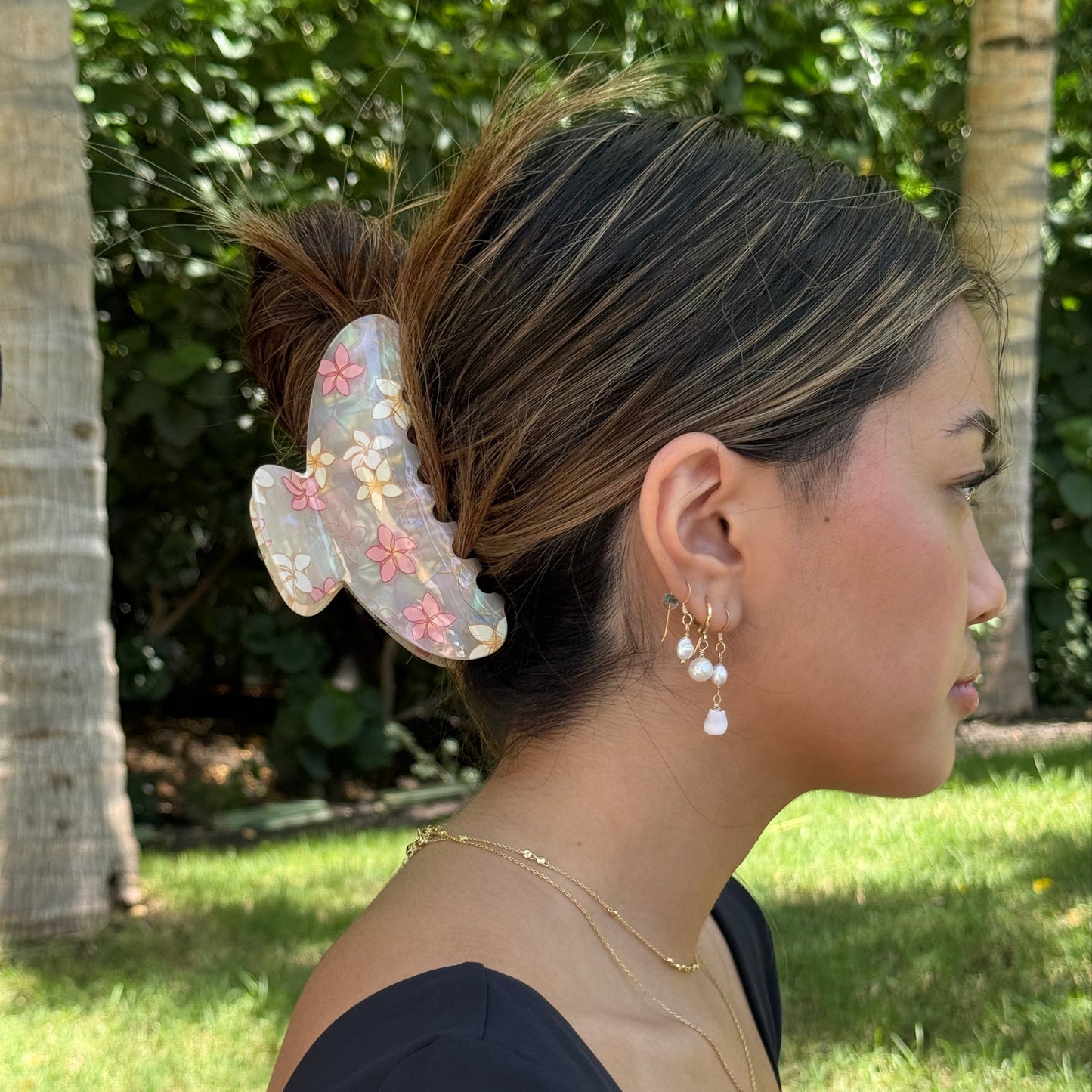 Plumeria bombucha