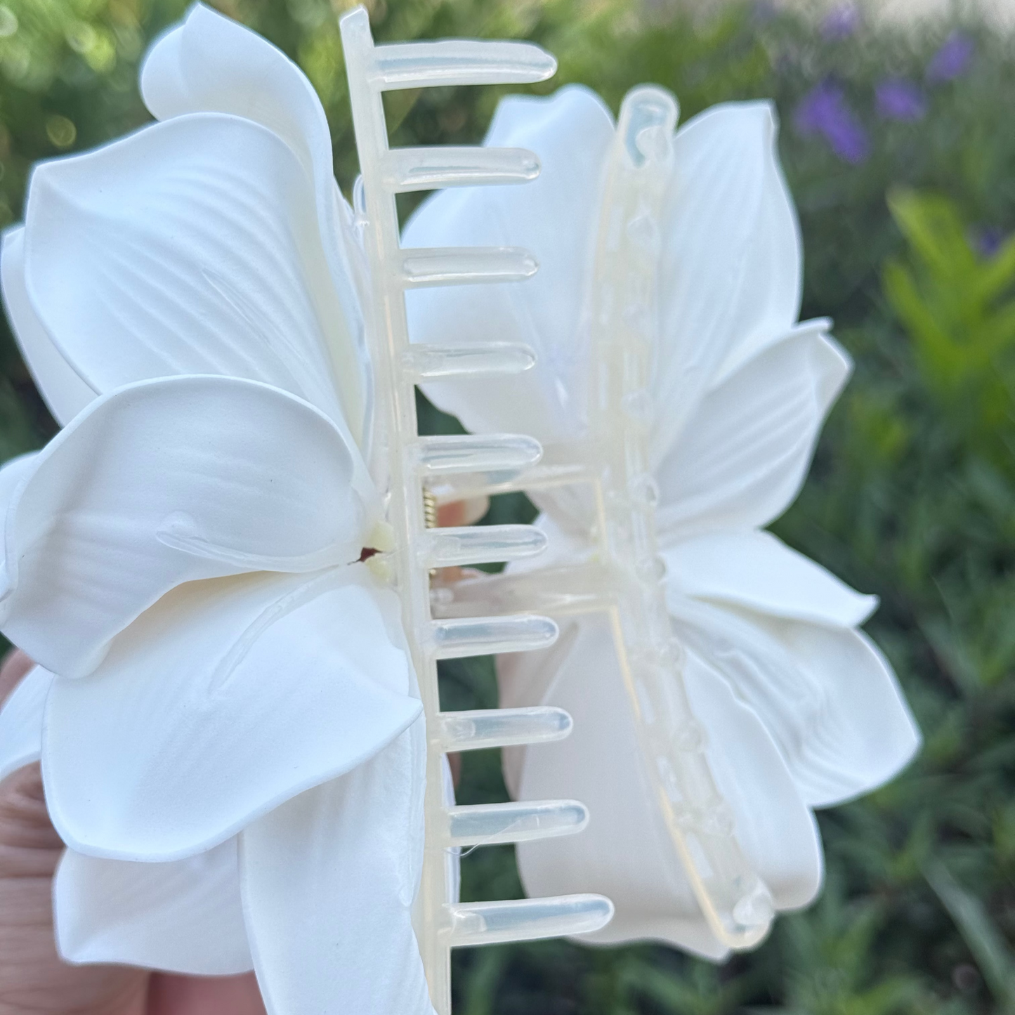 Lily white + yellow center