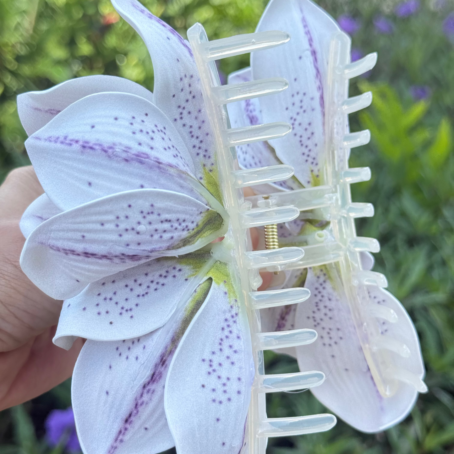 Lily purple speckled