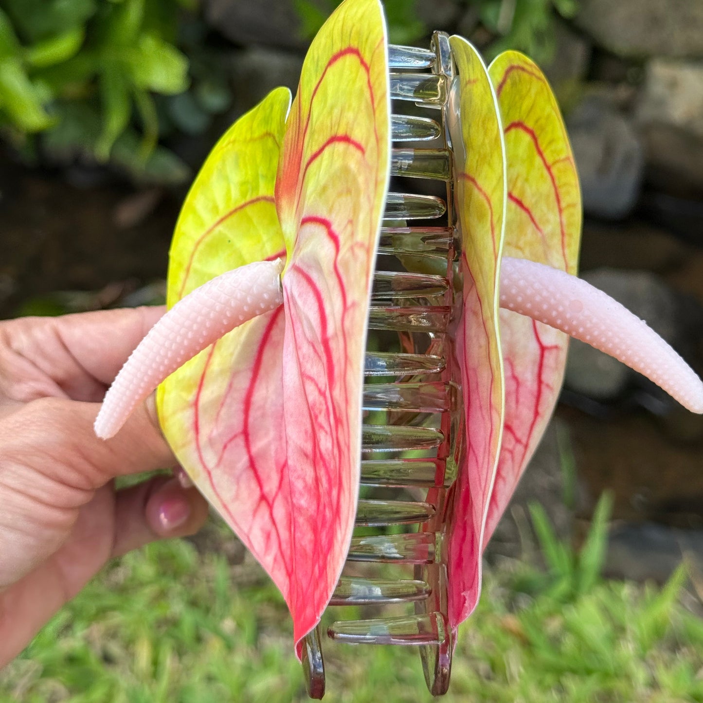 Anthurium large - blush