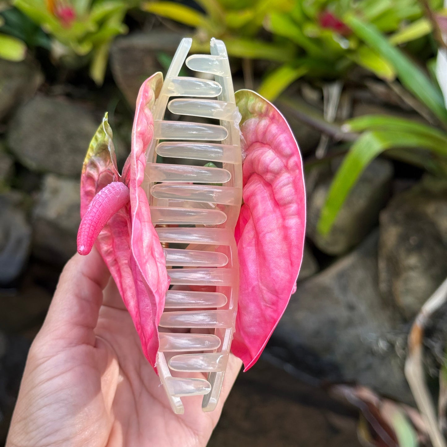 Anthurium medium - pink