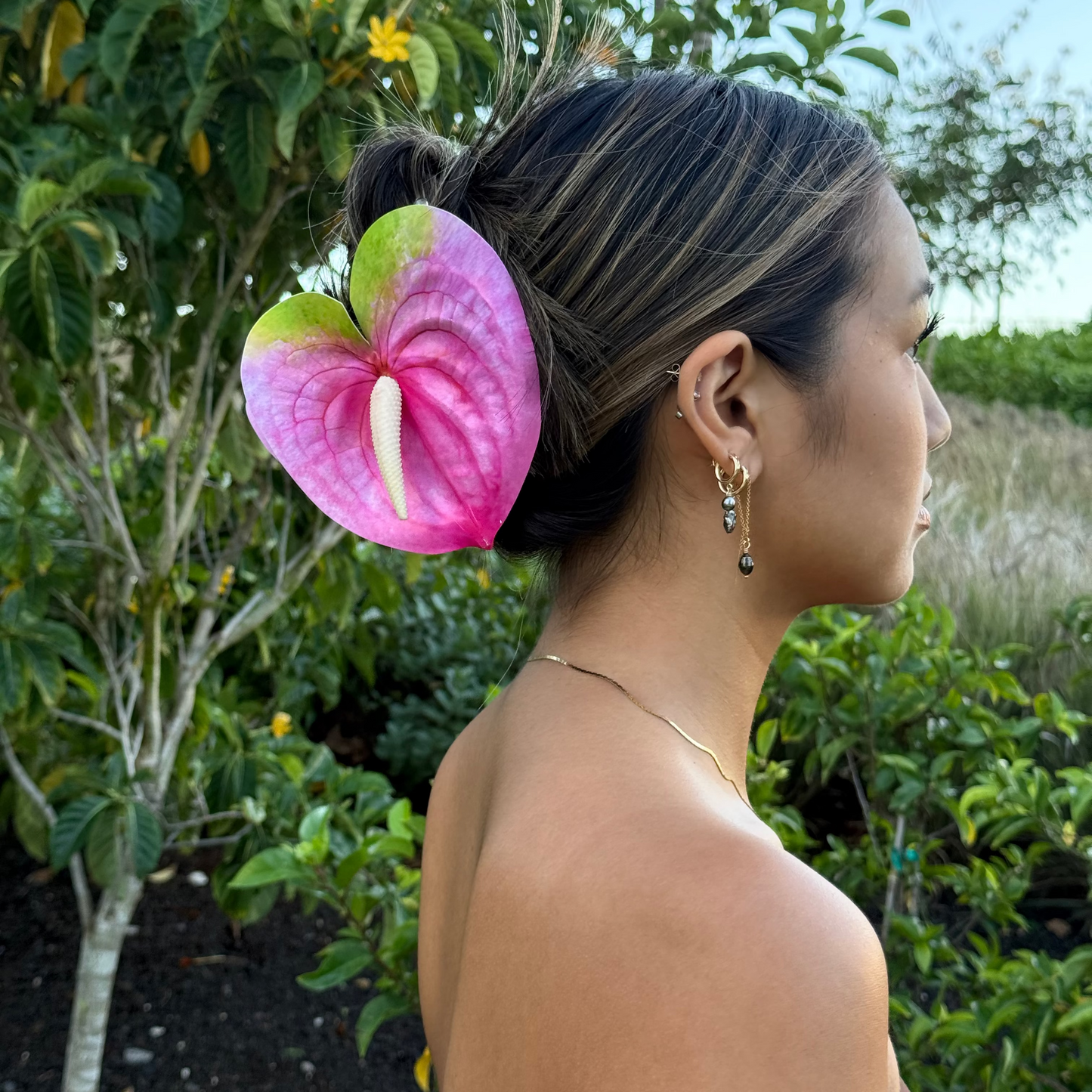 Anthurium large -  pink/green