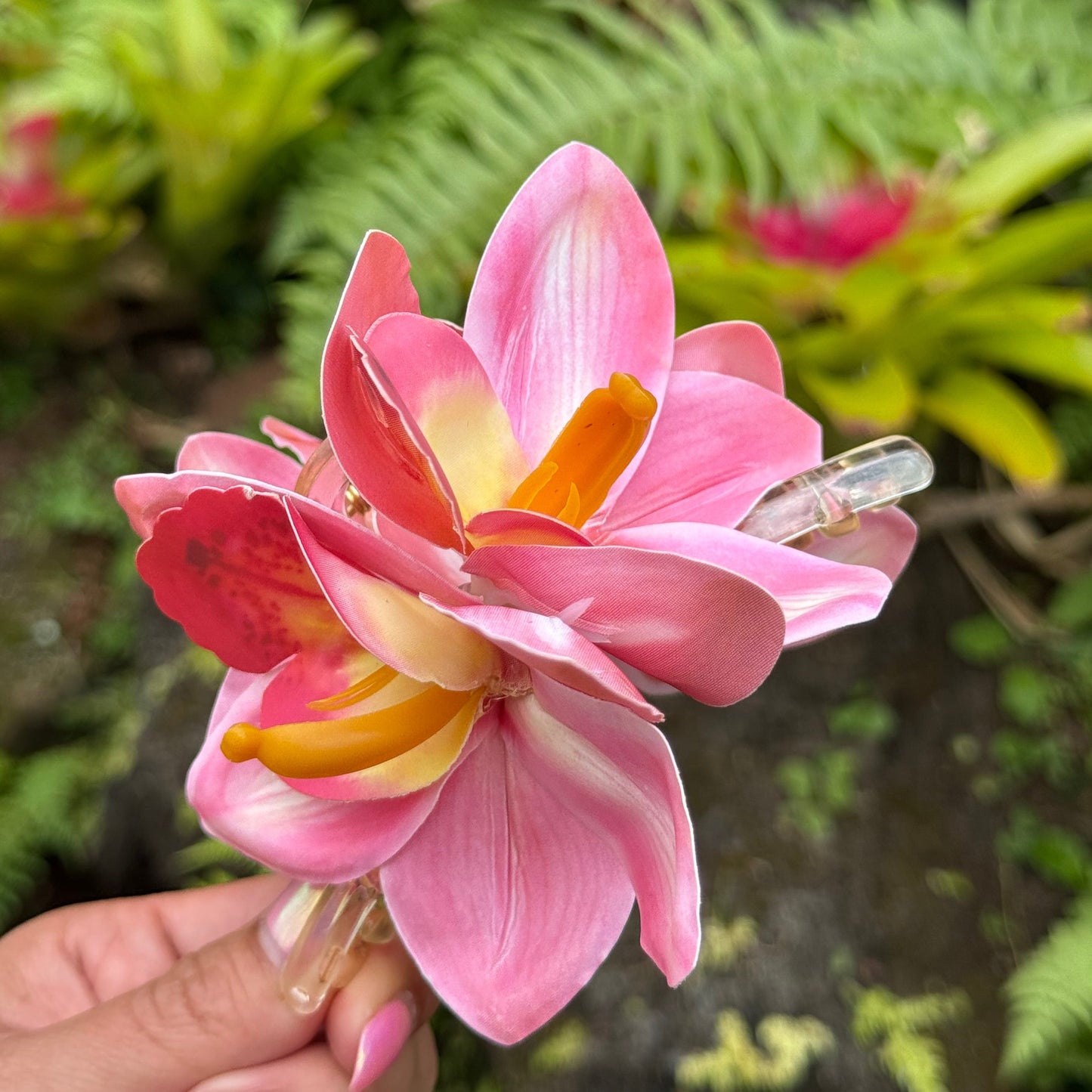 Cattleya Orchid - pink