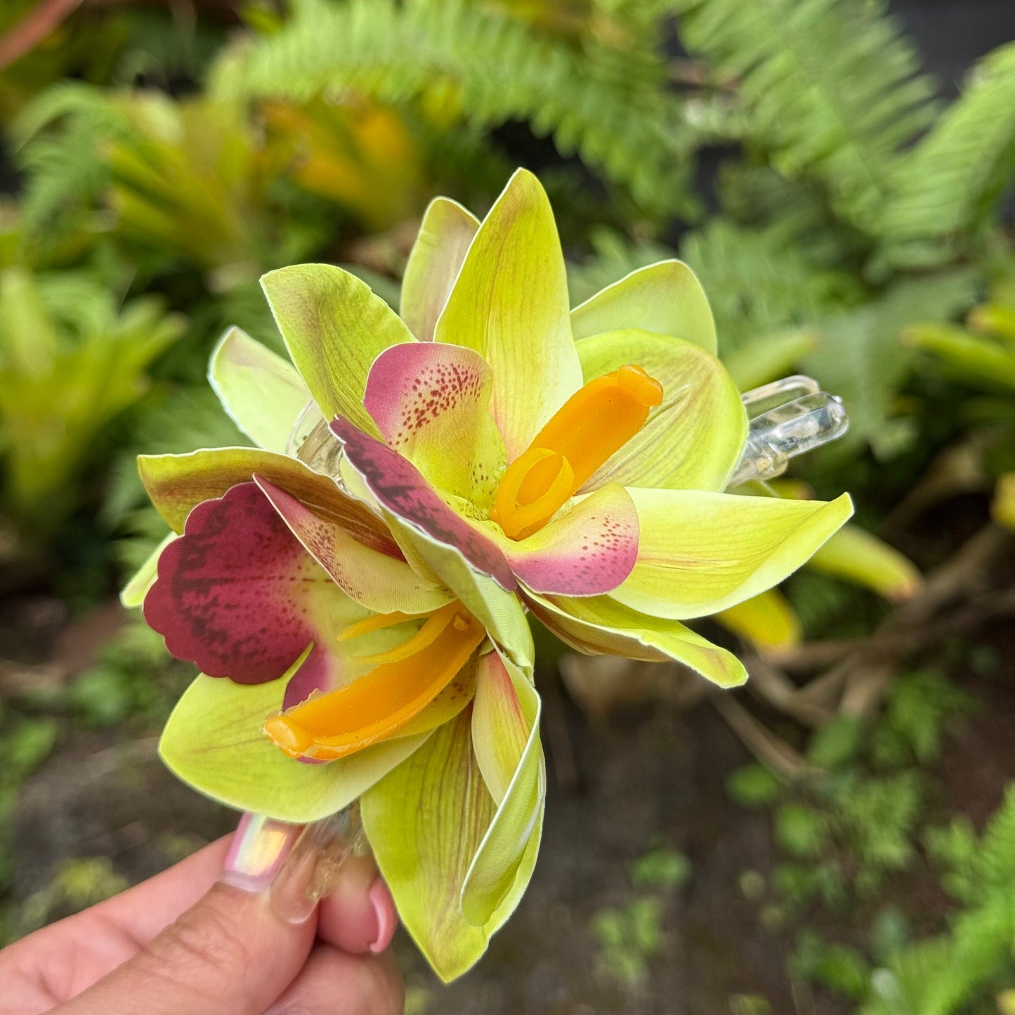 Cattleya Orchid - green/yellow