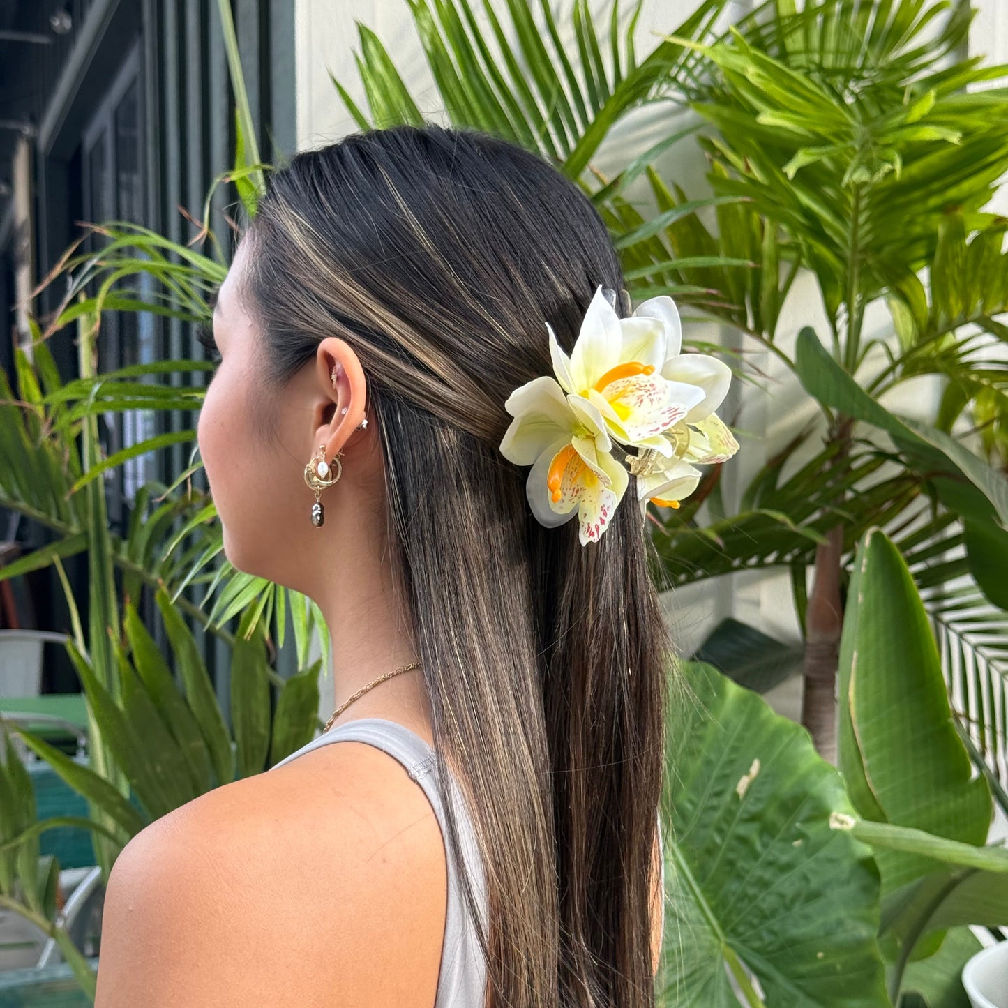 Cattleya Orchid - white