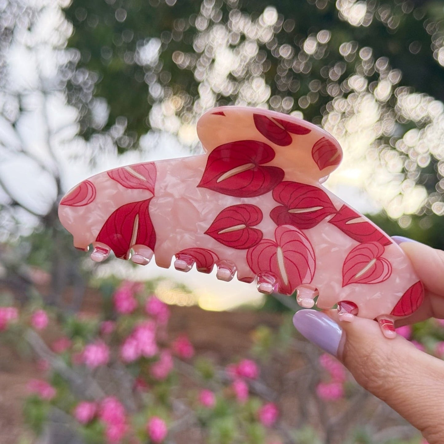 Anthurium mini bucha