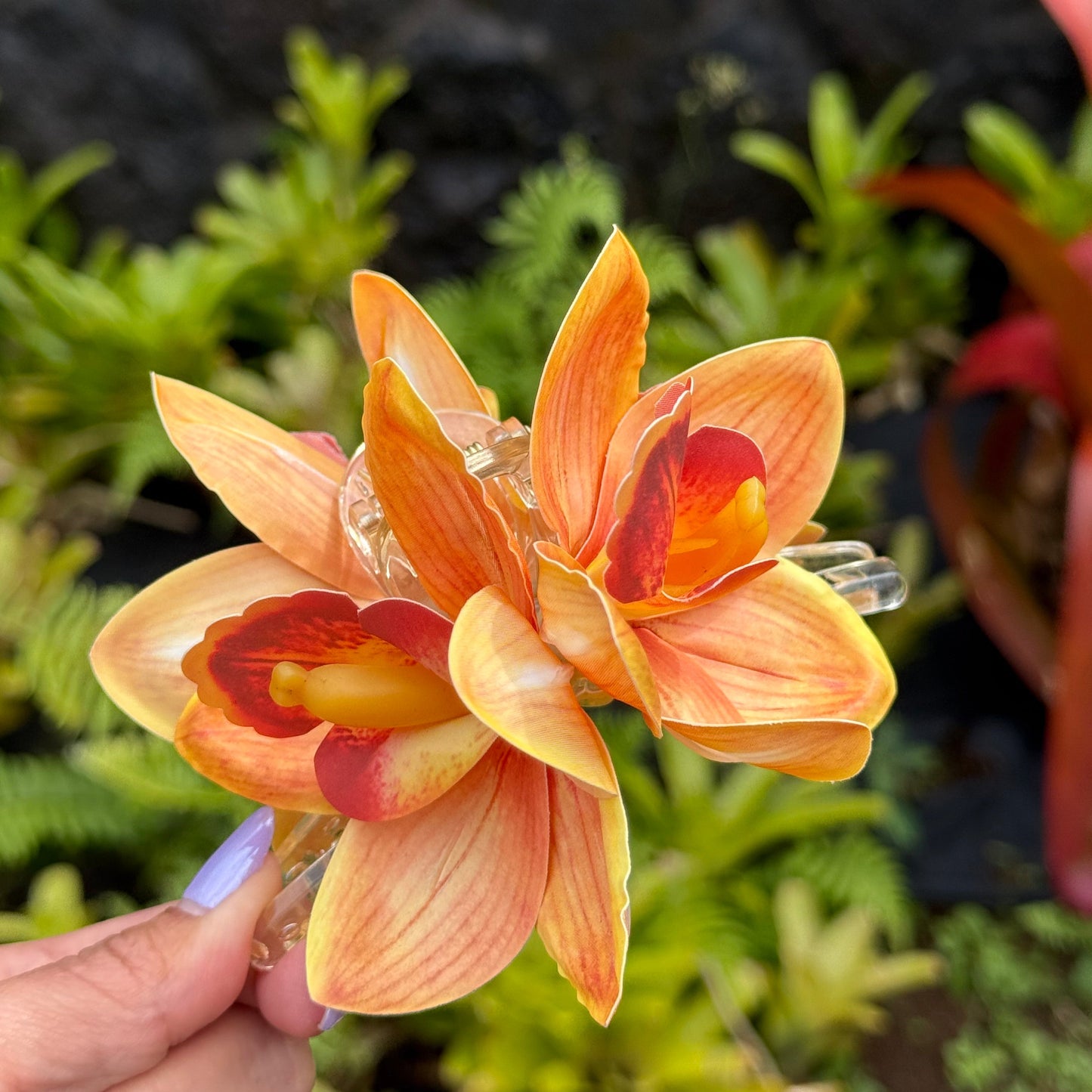 Cattleya Orchid - orange