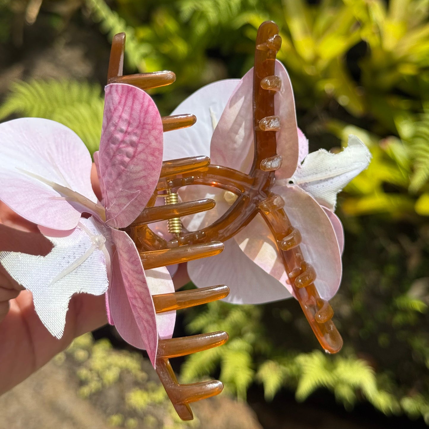 Orchid - peach