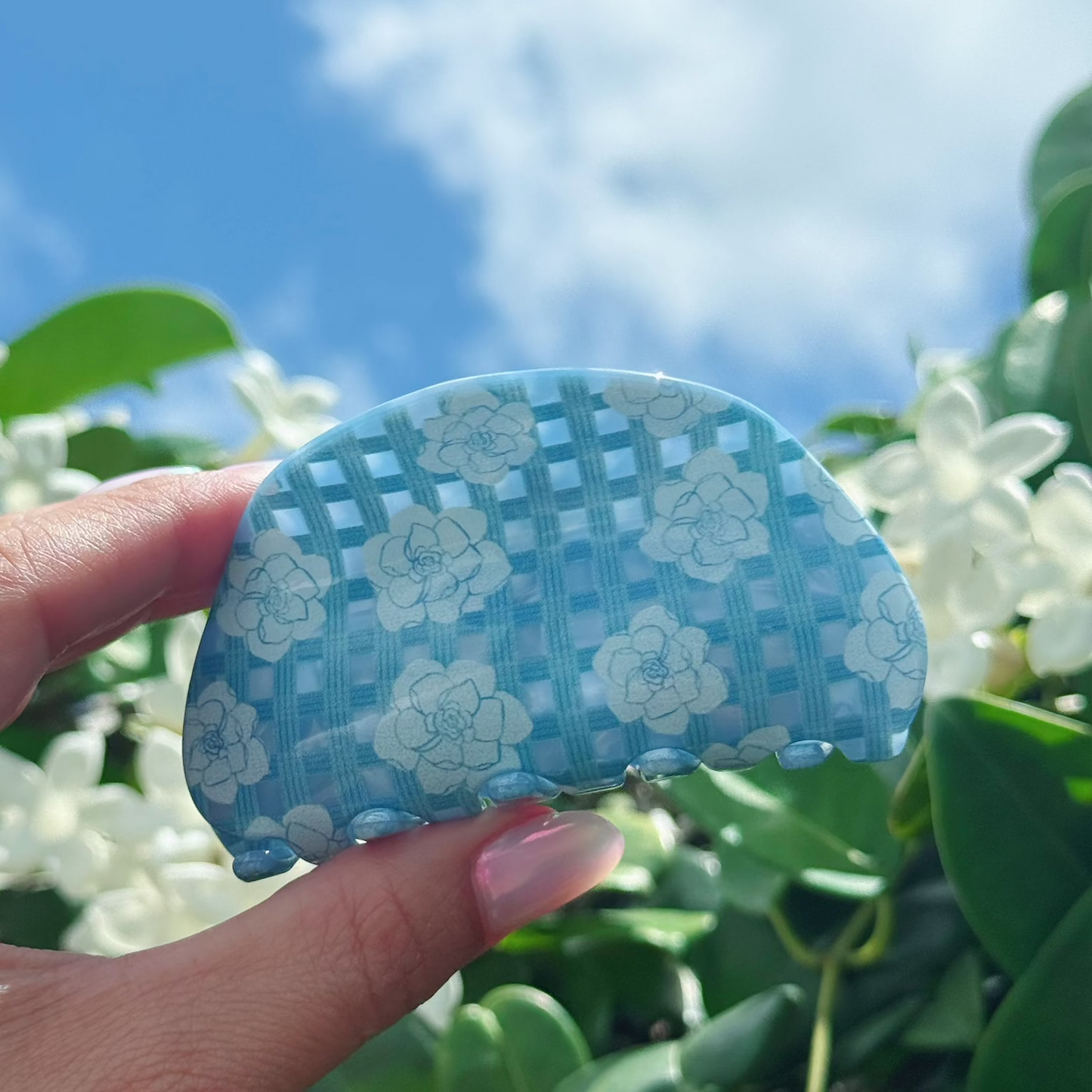 Gardenia Palaka mahina