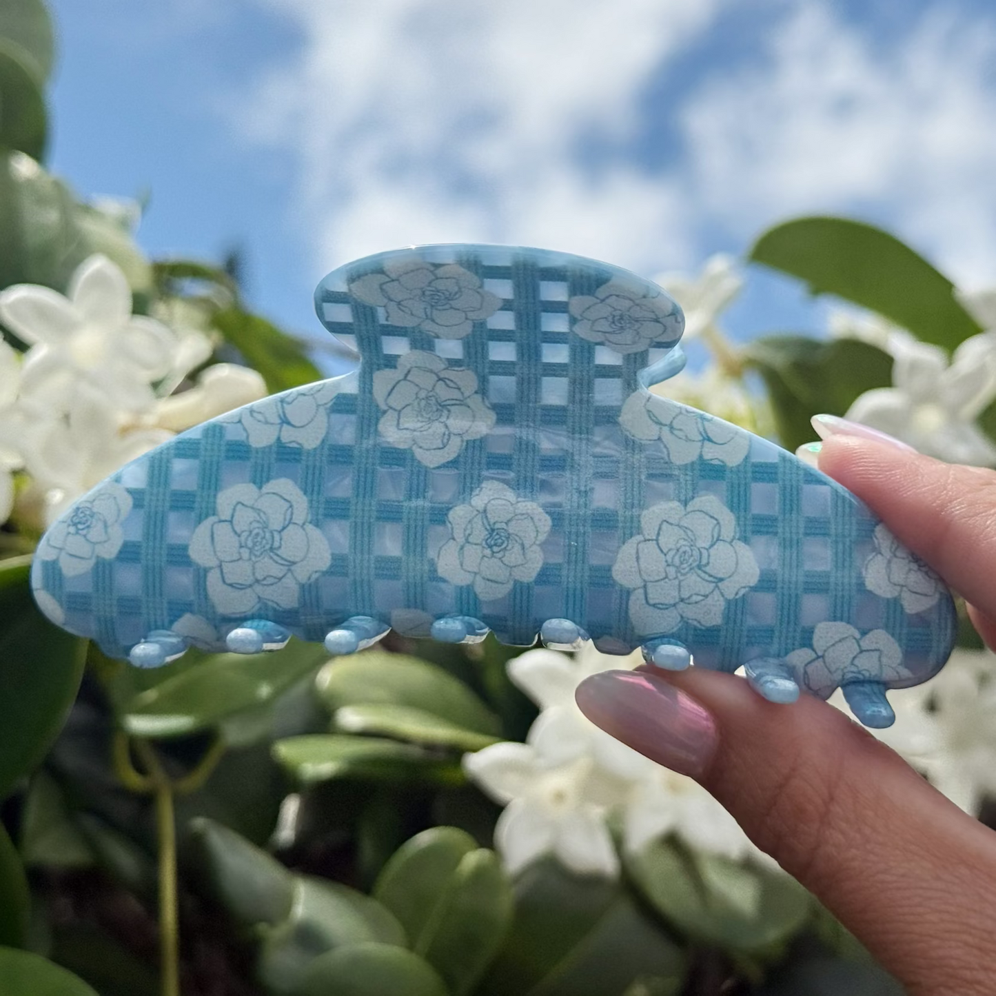 Gardenia Palaka mini bucha