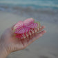 Double Anthurium Hair Claw | Collab x Aloha All Day