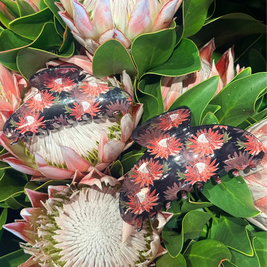 Protea 2 sizes