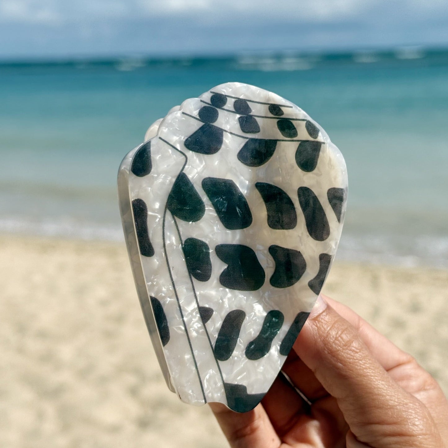 Hebrew Shell 2 sizes