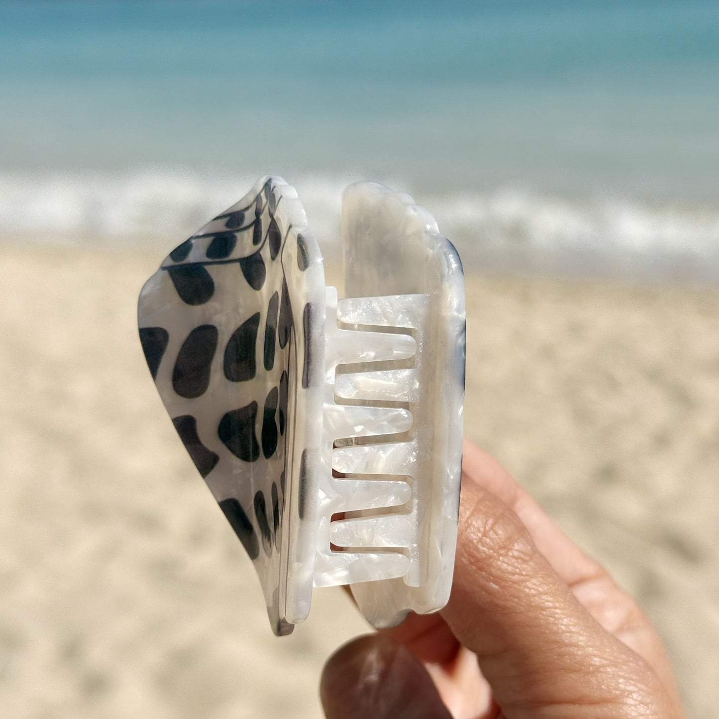 Hebrew Shell 2 sizes