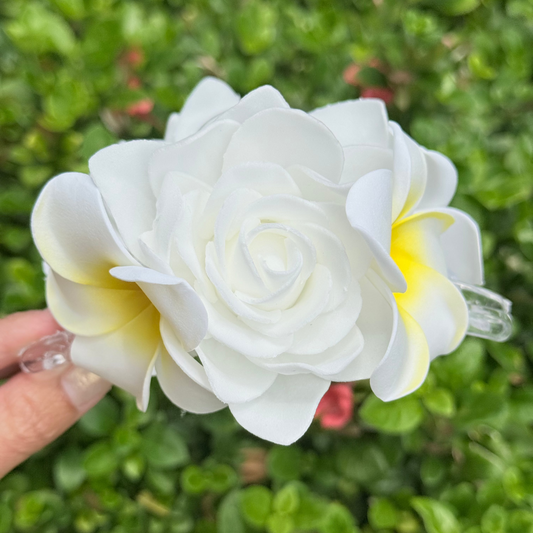 Gardenia Plumeria