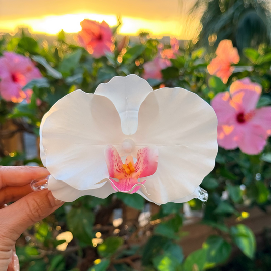 Orchid - ivory petal