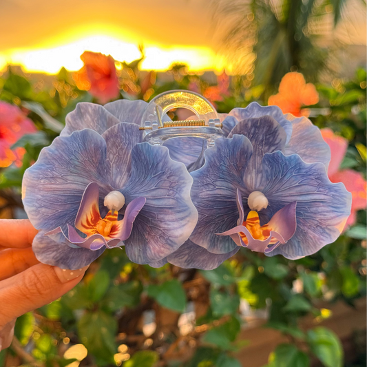 Double Orchid - bloom