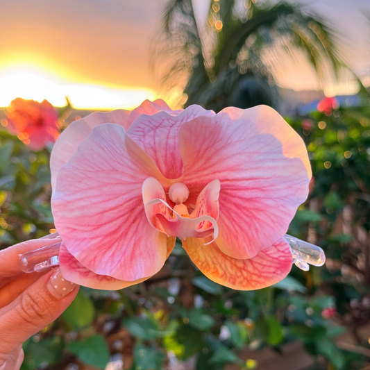 Orchid - petal bloom