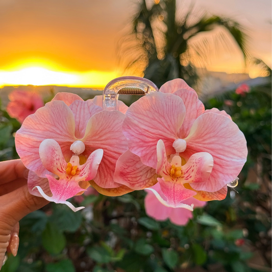 Double Orchid - petal bloom