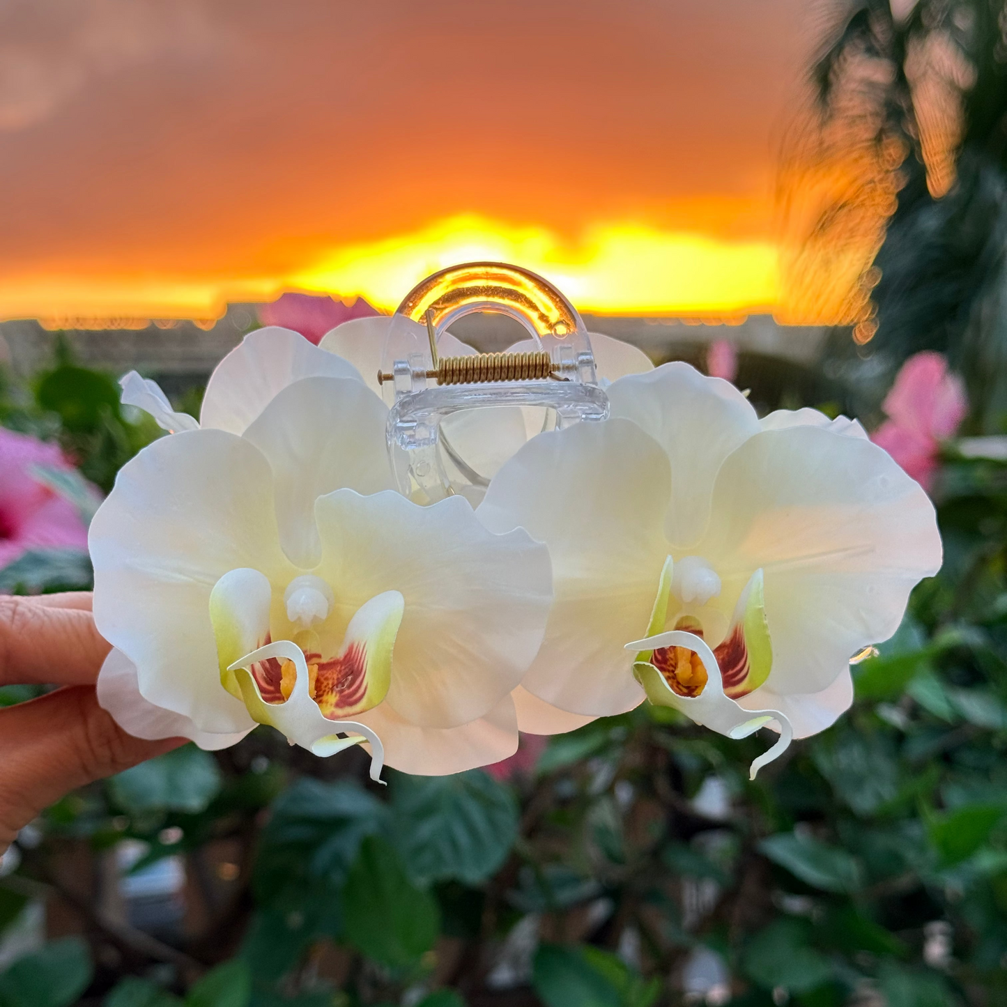 Double Orchid - sunlit ivory