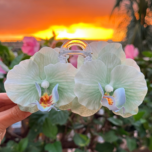 Double Orchid - Seafoam