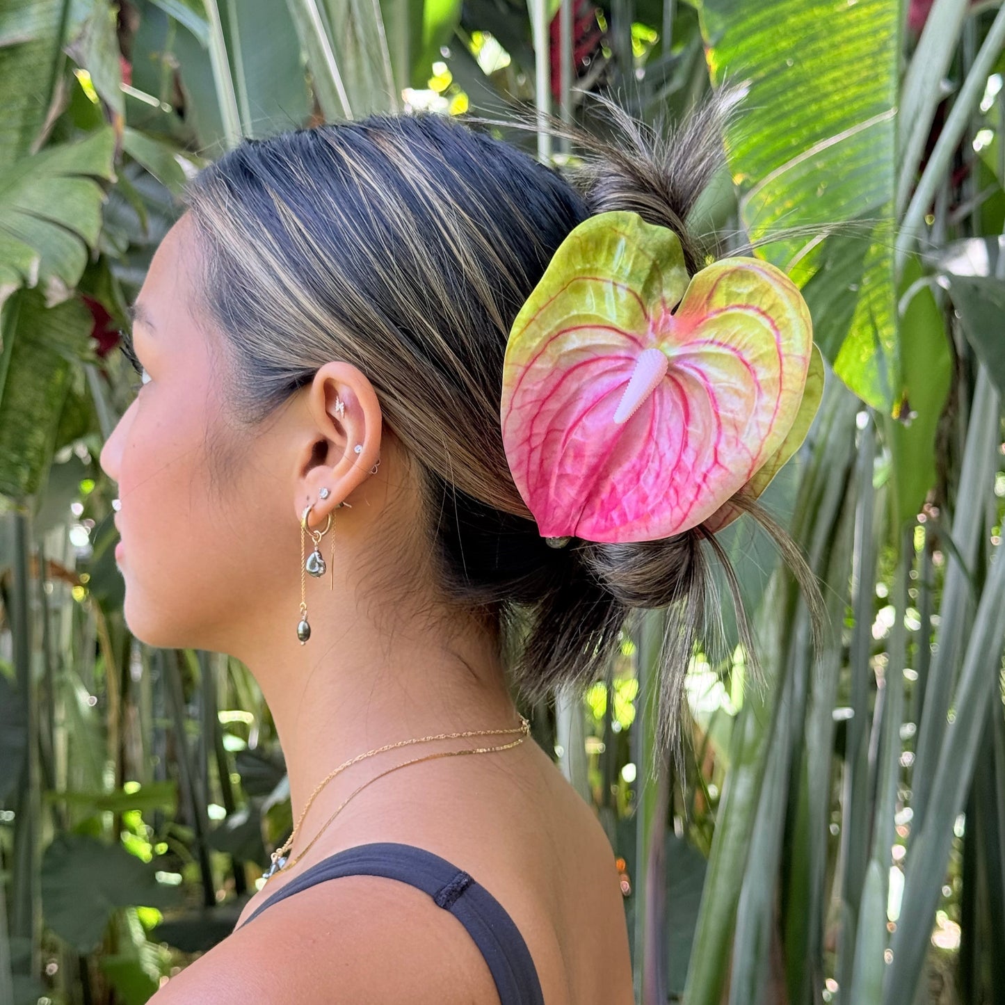 Anthurium large - rainbow
