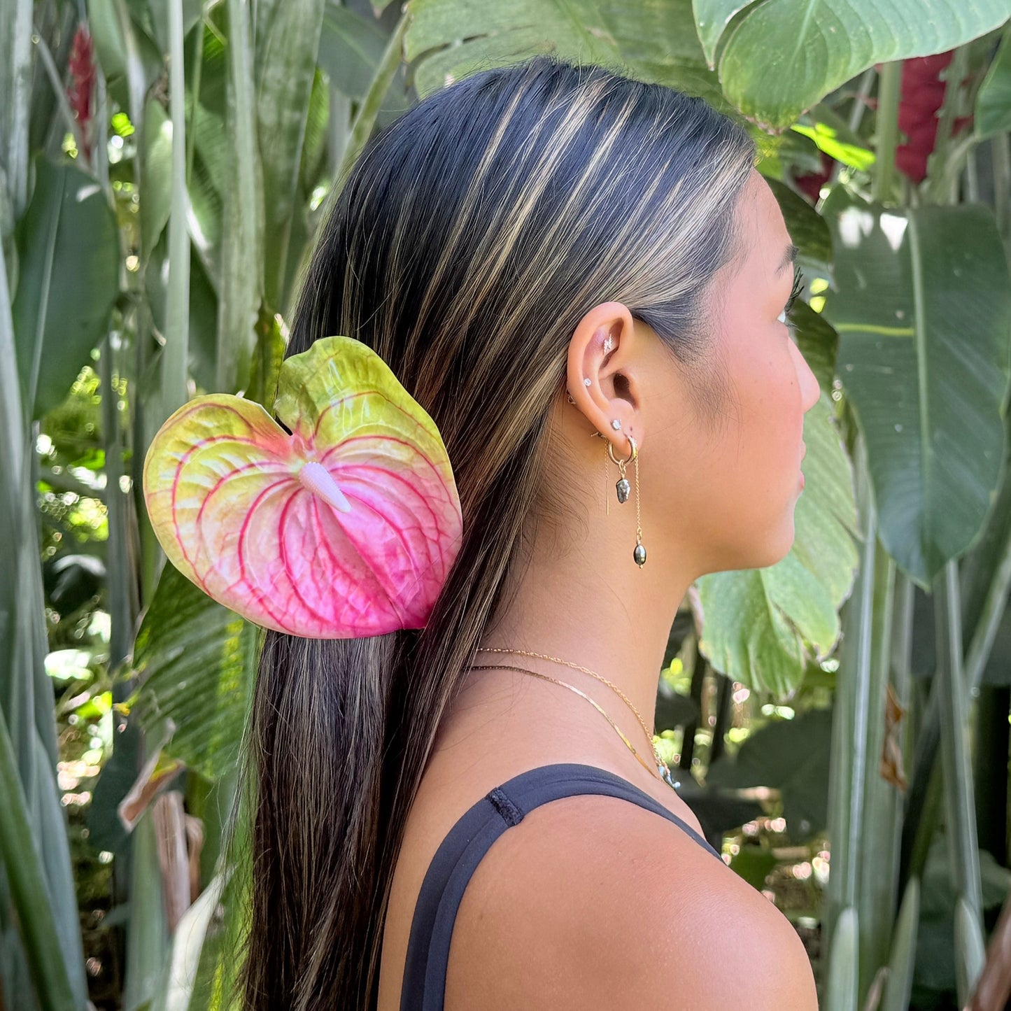 Anthurium large - rainbow