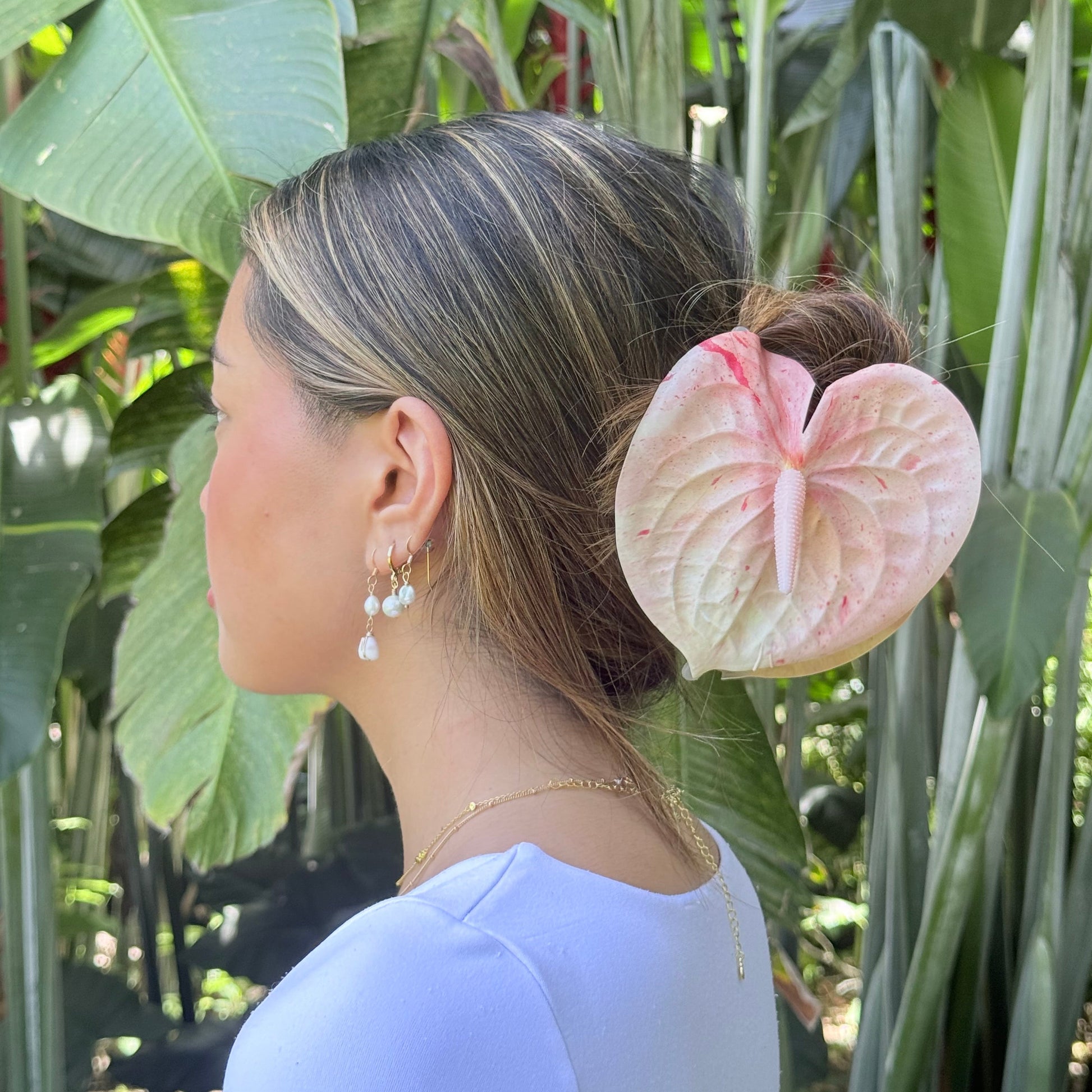 speckled anthurium Anthurium