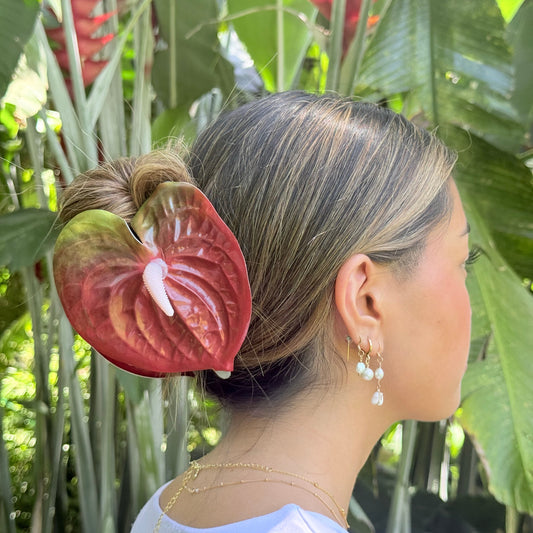 Anthurium large - deep red