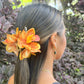 Cattleya Orchid - orange