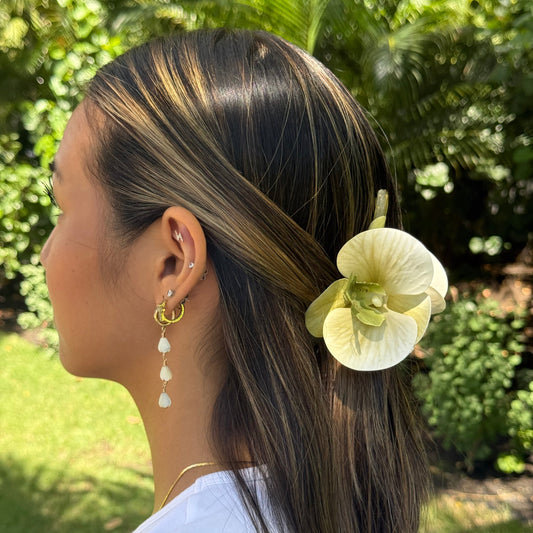 Orchid - green/white