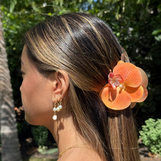 Orchid - orange