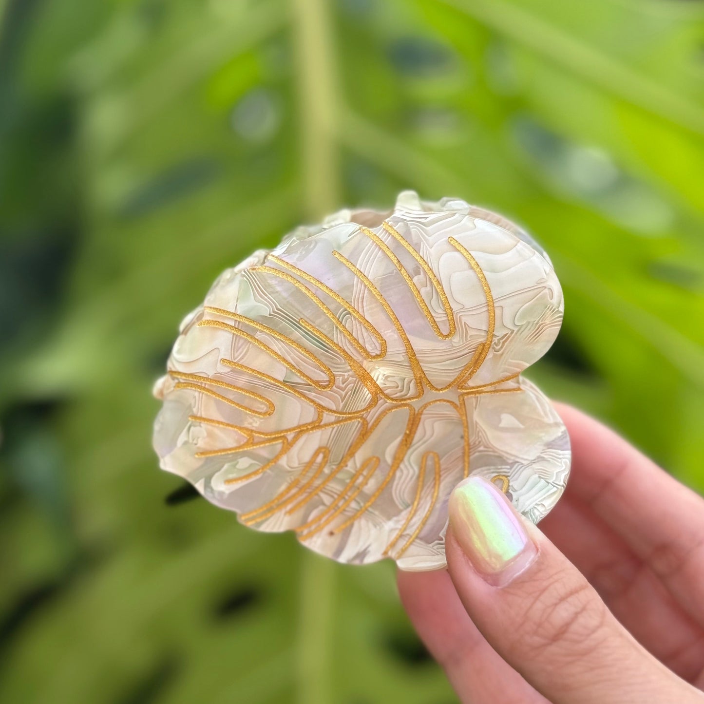 Monstera Leaf