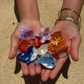 Mini Ocean Animals 8pc