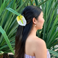 mini Anthurium - ivory