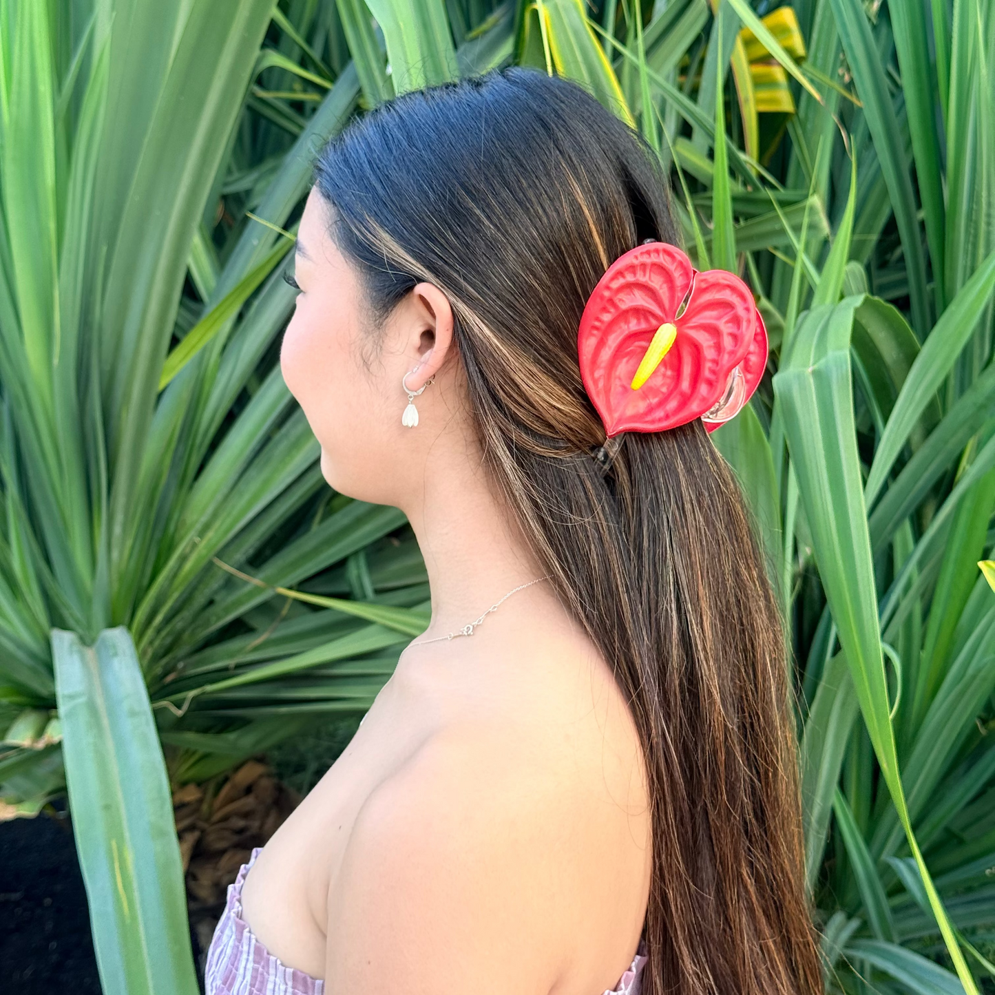 mini Anthurium - scarlet