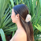 Shells Mahina