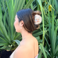 Shells Mahina