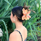 Lily Sunset